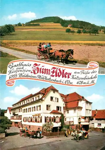 AK / Ansichtskarte Waldkatzenbach Gasthaus Kurpension Zum Adler Pferdekutschen Panorama Waldkatzenbach