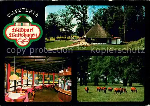 AK / Ansichtskarte Wulfshagen_Tuettendorf Cafeteria Wildpark Wulfshagen Gastraum Wildgehege Wulfshagen Tuettendorf