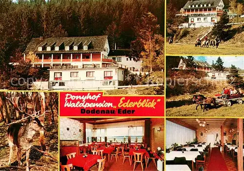 AK / Ansichtskarte Dodenau Ponyhof Waldpension Ederblick Gastraeume Pferdekutsche Hirsch Dodenau