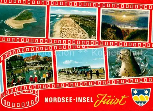 AK / Ansichtskarte Juist_Nordseebad Fliegeraufnahme Strandpartien Dorfteich Inselzug Robbe Juist_Nordseebad