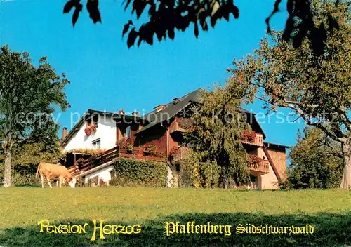 AK / Ansichtskarte Pfaffenberg_Wiesental Pension Herzog Pfaffenberg Wiesental