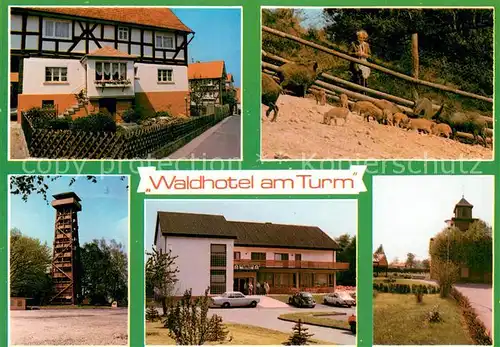 AK / Ansichtskarte Burgholz_Kirchhain Waldhotel am Turm Wildschweine Park Burgholz Kirchhain