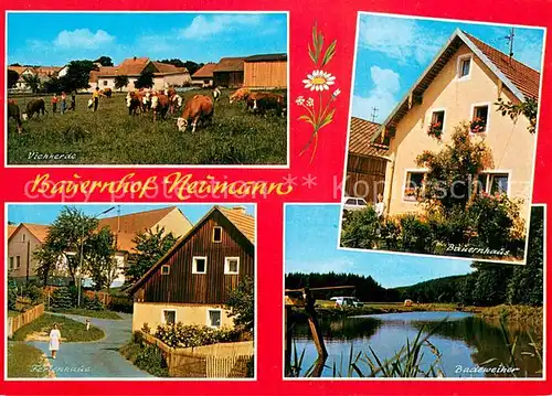AK / Ansichtskarte Friedersreuth Viehherde Bauernhof Neumann Bauernhaus Ferienhaus Badeweiher Friedersreuth