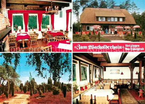 AK / Ansichtskarte Uetzingen Restaurant Cafe Zum Wacholderhain Gastraeume Heidelandschaft Uetzingen