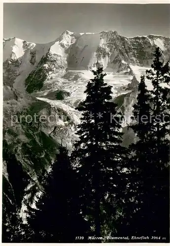 AK / Ansichtskarte Muerren_BE Blumental Ebnefluh Bergwelt Berner Alpen Muerren_BE