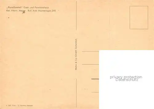 AK / Ansichtskarte Hemeringen Gast und Pensionshaus Forellental Hemeringen