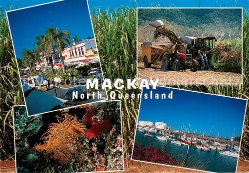 AK / Ansichtskarte Mackay_Queensland Strassenpartie Garten Ernte Yachthafen Mackay_Queensland