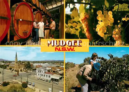 AK / Ansichtskarte Mudgee Wine making in Mudgee Panorama Mudgee