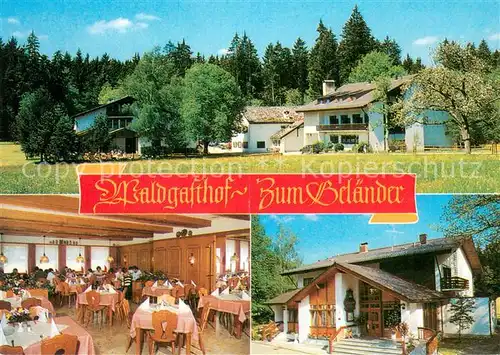 AK / Ansichtskarte Gelaender_Eichstaett_Oberbayern Waldgasthof Zum Gelaender Speiseraum 