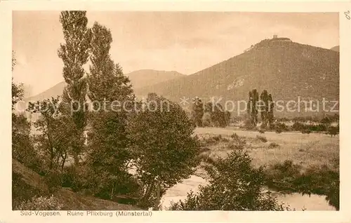 AK / Ansichtskarte Munster_68_Haut_Rhin_Elsass Paysage et Ruine Pflixburg 