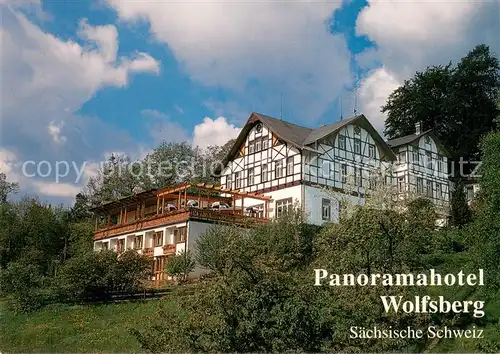 AK / Ansichtskarte Reinhardtsdorf_Bad_Schandau Panoramahotel Wolfsberg Reinhardtsdorf_Bad