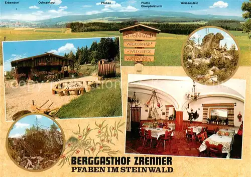 AK / Ansichtskarte Pfaben Naturpark Steinwald Berggasthof Zrenner Pfaben