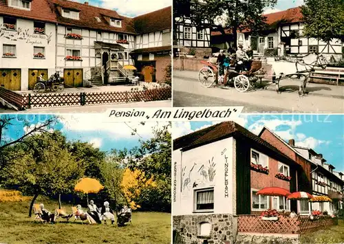 AK / Ansichtskarte Rengshausen_Hessen Pension Am Lingelbach Liegewiese Terrasse Pferdekutsche Rengshausen Hessen