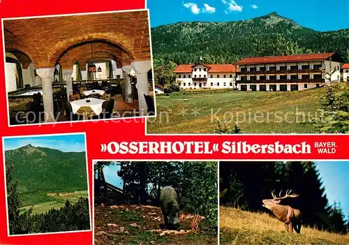 AK / Ansichtskarte Silbersbach Osserhotel Gastraum Panorama Wildgehege Silbersbach