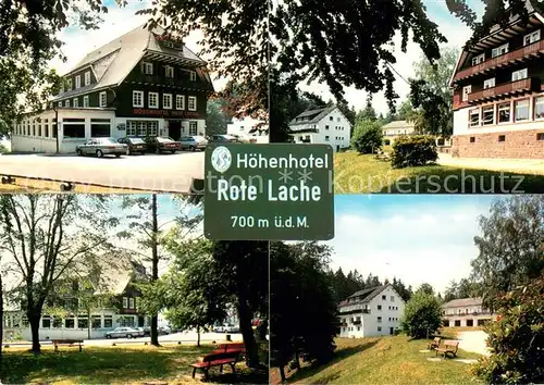 AK / Ansichtskarte Forbach_Baden Hoehenhotel Rote Lache Park Forbach_Baden