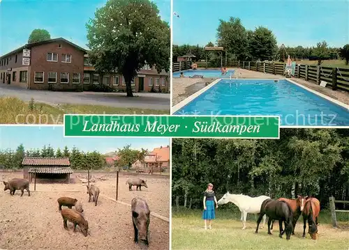 AK / Ansichtskarte Suedkampen Hotel Restaurant Landhaus Meyer Swimming Pool Pferdekoppel Schweine Suedkampen
