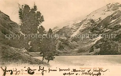AK / Ansichtskarte Engstlensee_BE mit Titlis Urner Alpen 
