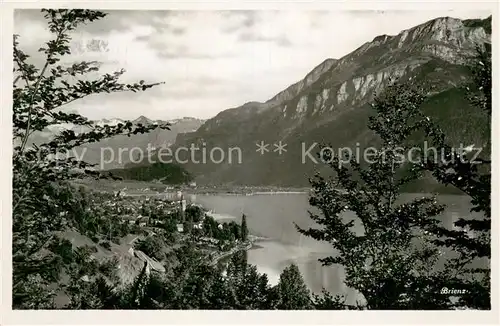 AK / Ansichtskarte Brienz_BE Panorama Brienzersee Alpen Brienz_BE