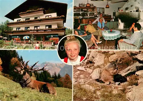 AK / Ansichtskarte Stuttgart Pension Alpina Cafe Gaststube Hirsch Murmeltier Stuttgart