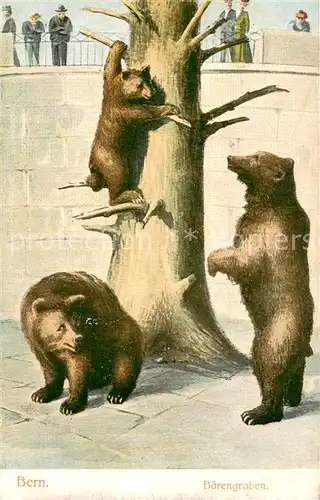 AK / Ansichtskarte Bern_BE Baerengraben Kuenstlerkarte Bern_BE