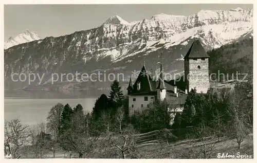 AK / Ansichtskarte Spiez_Thunersee_BE Schloss Berner Alpen Spiez_Thunersee_BE