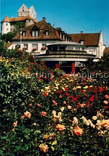 AK / Ansichtskarte Meersburg_Bodensee Strand Hotel Wilder Mann Meersburg Bodensee