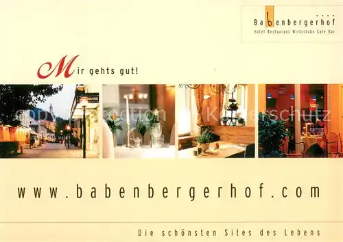AK / Ansichtskarte Moedling Babenbergerhof Details Moedling