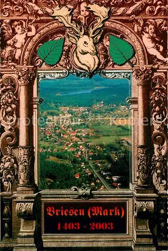 AK / Ansichtskarte Briesen_Mark Fliegeraufnahme Gesamtansicht Briesen Mark