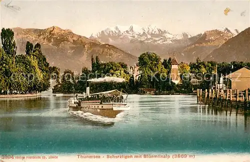 AK / Ansichtskarte Scherzligen_BE Thunersee Dampfer Bluemlisalp Berner Alpen 