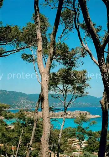 AK / Ansichtskarte Bormes les Mimosas Port de la Faviere Bormes les Mimosas