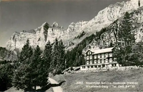 AK / Ansichtskarte Walenstadtberg Alpenhotel Schrina Hochruck Walenstadtberg