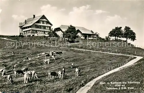 AK / Ansichtskarte Wald_ZH Gast und Kurhaus Alp Scheidegg Wald_ZH