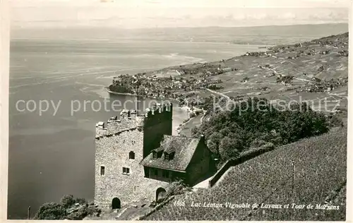 AK / Ansichtskarte Lac_Leman_Genfersee_GE Vignoblede Lavaux et Tour de Marsens 