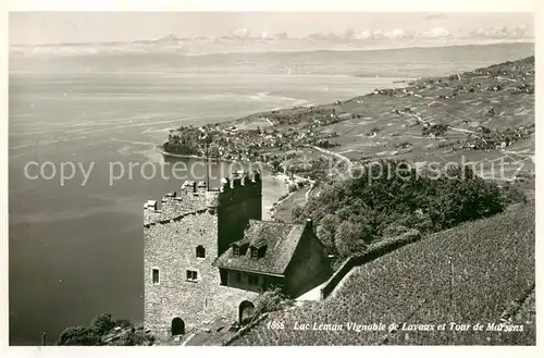 AK / Ansichtskarte Lac_Leman_Genfersee_GE Vignoble de Lavaux et Tour de Marzans 