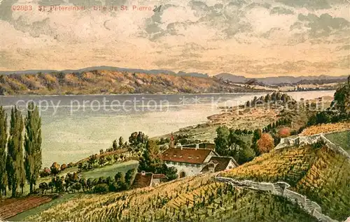 AK / Ansichtskarte Erlach_BE Panorama St. Petersinsel Bielersee Kuenstlerkarte Erlach_BE