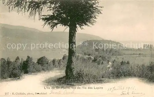 AK / Ansichtskarte Erlach_BE Ile de Saint Pierre vue de l Ile des Lapins Lac de Bienne Erlach_BE