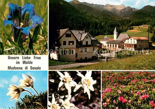 AK / Ansichtskarte Val_di_Non Madonna di Senale  Val_di_Non