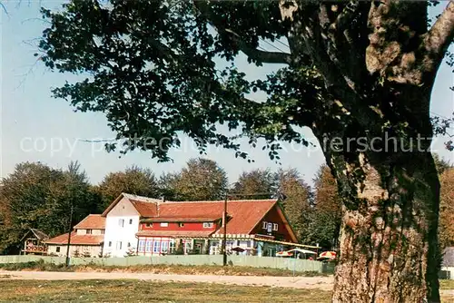 AK / Ansichtskarte Poiana_Brasov Cabana Vinatorul 