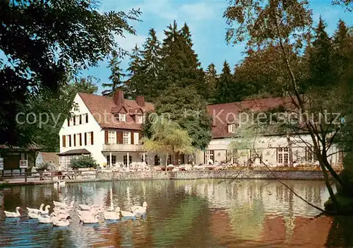 AK / Ansichtskarte Leopoldstal_Lippe Waldhotel und Pension Silbermuehle Schwanenteich Leopoldstal_Lippe