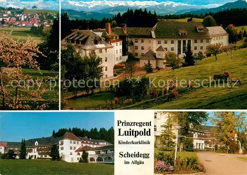 AK / Ansichtskarte Scheidegg_Allgaeu Prinzregent Luitpold Kinderkurklinik Details Scheidegg Allgaeu