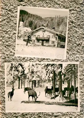 AK / Ansichtskarte Kreuth_Bad Gasthof Glashuette Wildfuetterung Kreuth_Bad