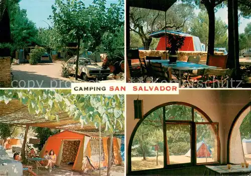 AK / Ansichtskarte Vendrell Camping San Salvador Details Vendrell