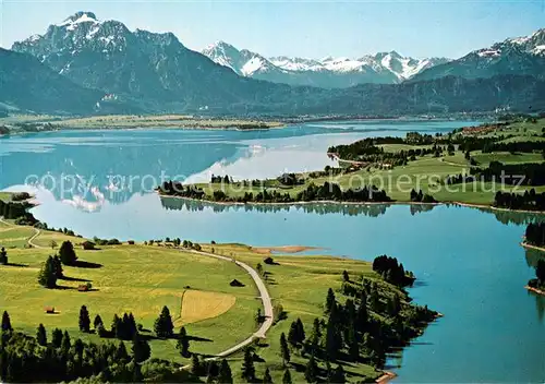 AK / Ansichtskarte Forggensee_Schwangau mit Allgaeuer und Tiroler Alpen Forggensee Schwangau