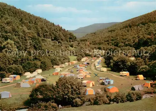 AK / Ansichtskarte Hirschhorn_Neckar Campingplatz Hirschhorn Neckar