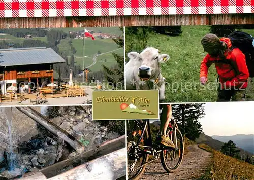 AK / Ansichtskarte Reutte_Tirol Ehenbichler Alm Terrasse Kuh Bergtour Brunnen Reutte Tirol