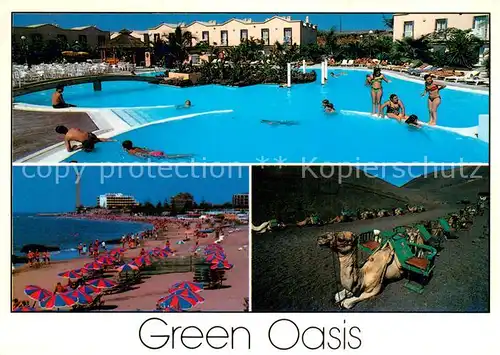 AK / Ansichtskarte Maspalomas_Gran_Canaria Bungalows Green Oasis Schwimmbad Strand Kamele 
