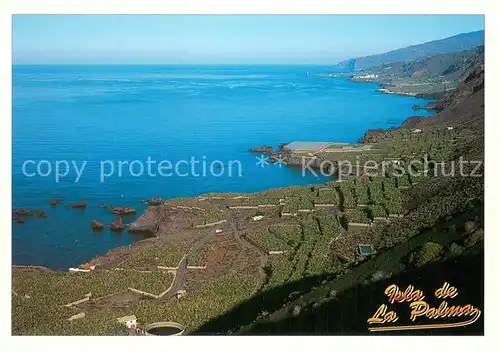 AK / Ansichtskarte Isla_de_la_Palma Vista del cultivo en terrazas entre Fuencaliente y Los Llanos Isla_de_la_Palma