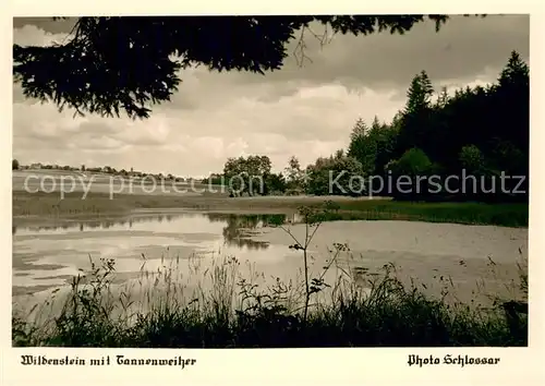 AK / Ansichtskarte Wildenstein_Fichtenau Uferpartie am Tannenweiher Wildenstein_Fichtenau