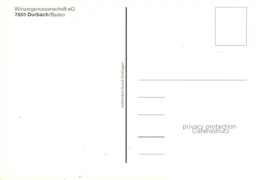 AK / Ansichtskarte Durbach Winzergenossenschaft Panorama Durbach