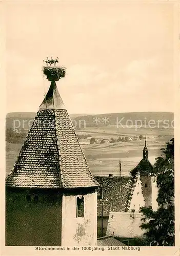 AK / Ansichtskarte Nabburg Storchennest in der 1000jaehrigen Stadt Nabburg